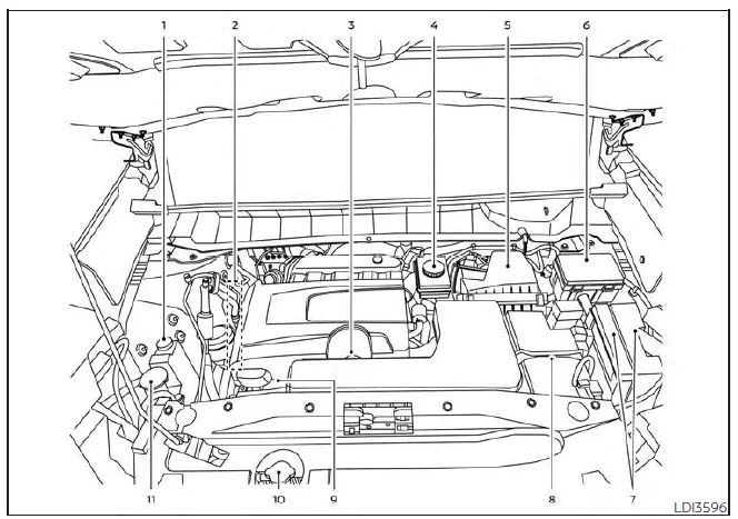 Nissan Pathfinder. Puntos de inspección en el compartimiento del motor